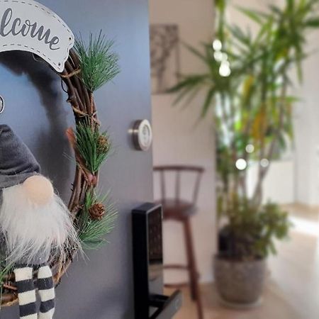 Hoobee Home & Rooftop Terrace Targu-Mures Bagian luar foto