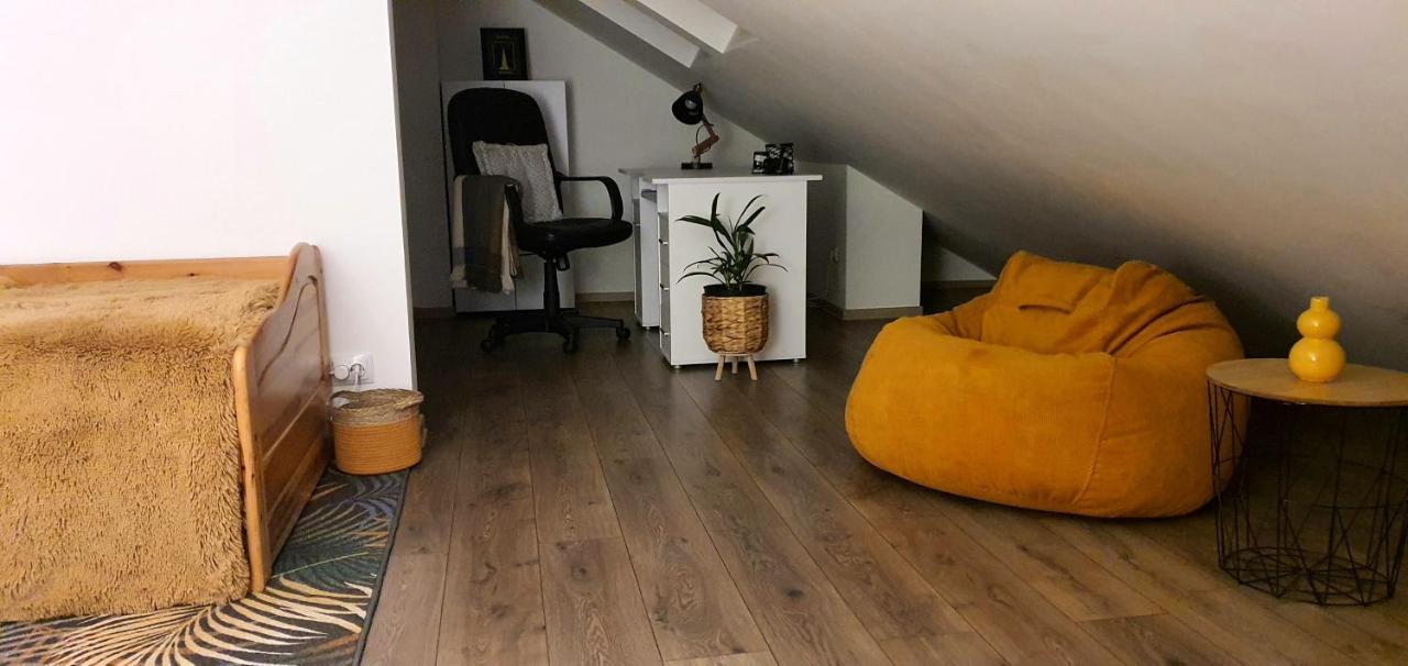 Hoobee Home & Rooftop Terrace Targu-Mures Bagian luar foto